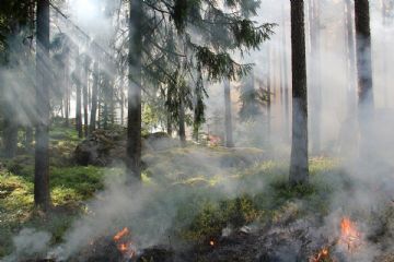 Protezione Civile: prorogata sino al 28 settembre 2025 la fase di attenzione agli incendi boschivi