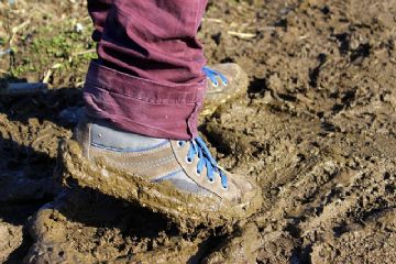 Eventi alluvionali 2023 e 2024: prenotazione online per appuntamenti in presenza presso gli sportelli dedicati