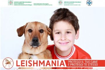 Proteggi il tuo cane e proteggi te stesso